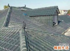 怎样才算是屋脊煞