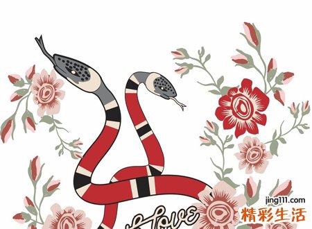 梦见自己被蛇咬伤是什么意思，做梦梦见自己被蛇咬伤