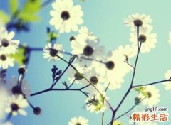 潇洒网名，洒脱随性的古风诗词昵称