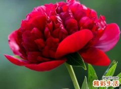 霸气有个性的古风名字，唯美有诗意的潇洒网名