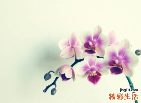 高端网名,新潮霸气最火的微博名字