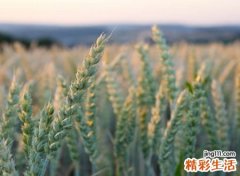 虐心颓废的微信名字，孤寂伤感唯美古风网名