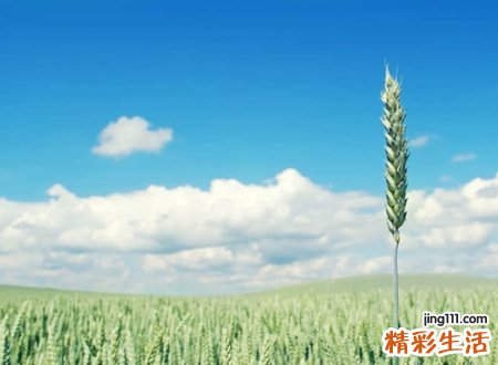 唯美好听的古典网名，清雅仙气的古风昵称