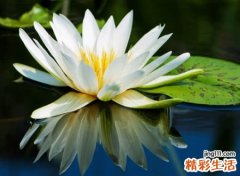 简约带诗意的快手名字，优雅大方的古典网名