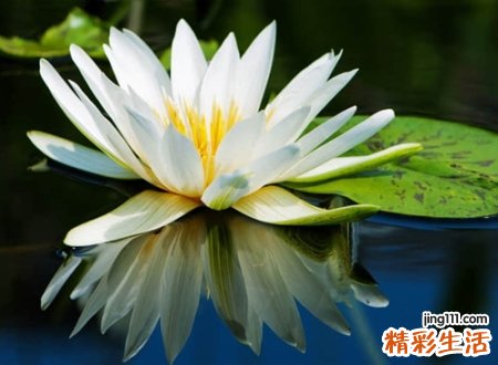 简约带诗意的快手名字，优雅大方的古典网名