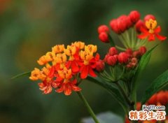 诙谐幽默的qq搞笑昵称，稀奇古怪的网名