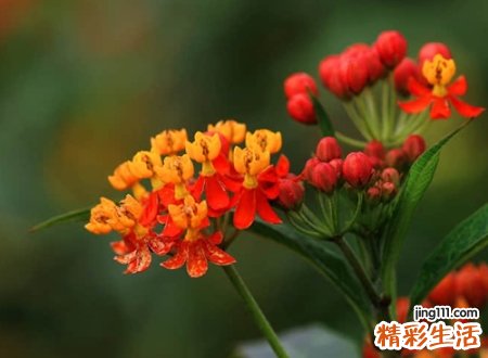 诙谐幽默的qq搞笑昵称，稀奇古怪的网名