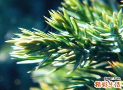 古典网名，简约有意境的微信唯美名字