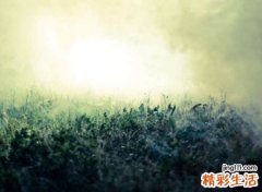 领悟人生的微信名字，唯美有诗意的个性网名