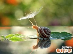 花甲之年是多少岁