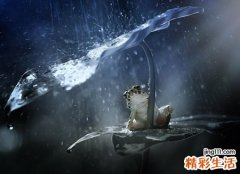 皈依佛门是什么意思