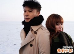 属狗和属兔的合不合