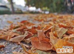 通过胎元看命运