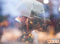 属牛和属狗的合得来吗