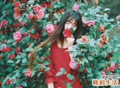 复古有深意的网名，伤感古风有意境的长网名