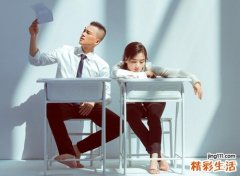 属鼠的和属狗的相配吗