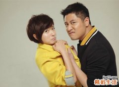 属兔和属狗的合不合