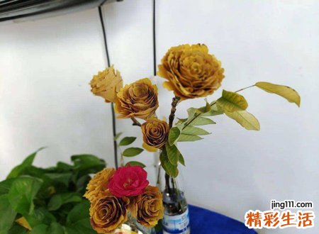 2022年犯太岁的生肖