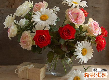 2009年是什么命