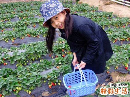 梦见摘草莓是什么意思，做梦梦到摘草莓又大又红