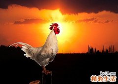 鸡叫是什么时辰
