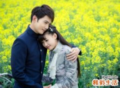 马与蛇相配的婚姻如何