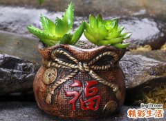 海中金命人如何聚财