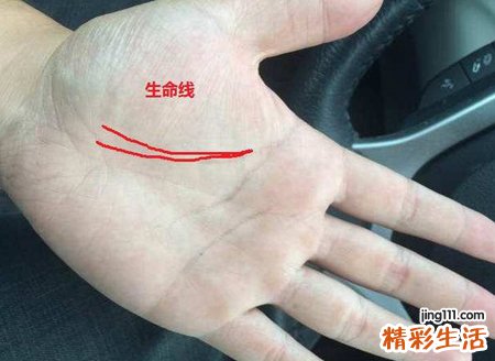 生命线解读