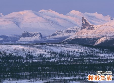 孕妇梦见死人复活预示什么，孕妇梦见死人复活说话