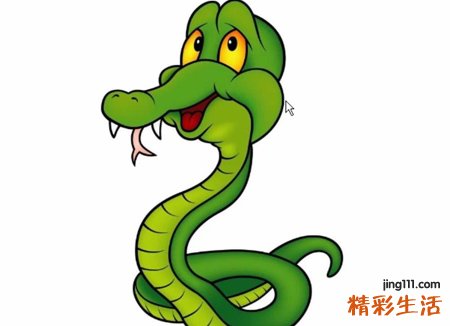 梦见蟒蛇追我有什么预兆，女人梦到蟒蛇追自己
