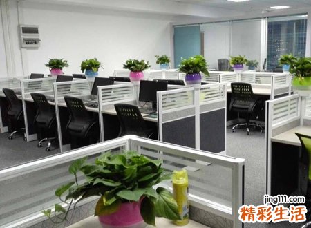 霸气有内涵的网络公司名字，有创意的科技公司名字