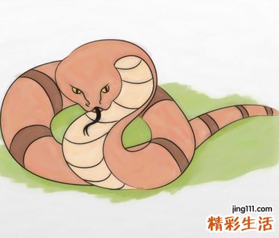 梦见蟒蛇好吗，做梦梦到又粗又大的蟒蛇
