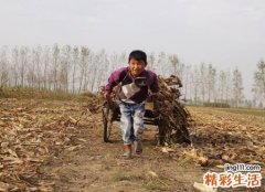梦见抱男孩好不好，已婚女人梦见抱个男孩