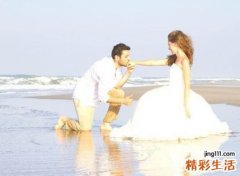 马和羊生肖是否相配