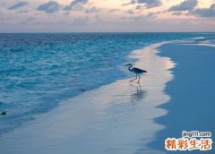 梦见涨潮是什么意思，做梦梦到水突然涨潮