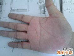 断掌纹的命运