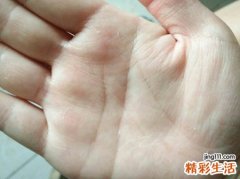 断掌是什么意思