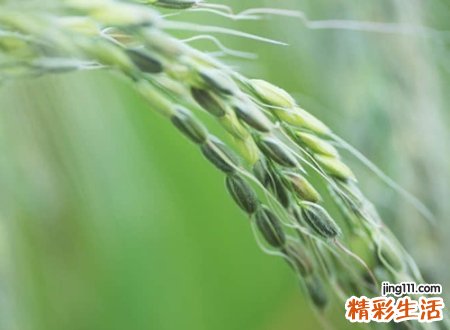 有个性的三字微信网名，唯美有内涵的三个字网名