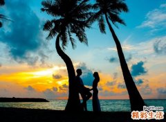 属羊和属兔的合财吗