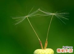 高端霸气的游戏名字，高大上的牛逼内涵昵称