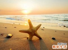 最流行的高大上抖音网名，霸气超拽的抖音个性昵称
