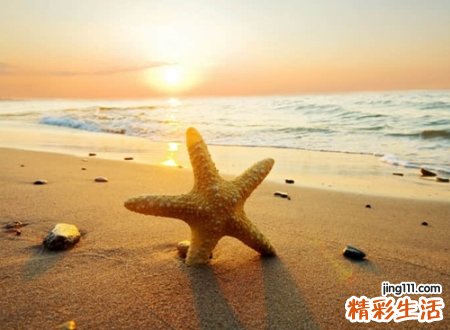 最流行的高大上抖音网名，霸气超拽的抖音个性昵称