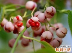 复古文艺小清新昵称，简单古风风格的微博网名