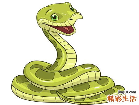 梦见吃蛇肉有什么预兆，女人梦见吃蛇肉