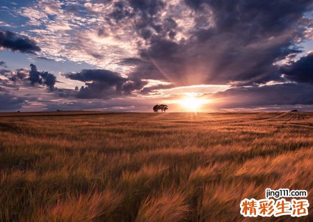 梦见一堆死人是什么意思，做梦梦到一大堆死人