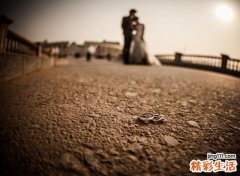 属兔的和什么属相合财