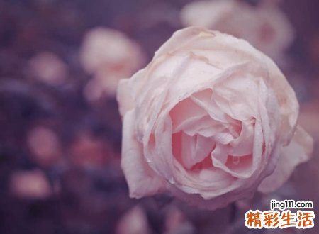 戏子网名，唯美有诗意的古风名字