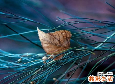 好听的四个字网名，唯美有内涵的时尚4字名字