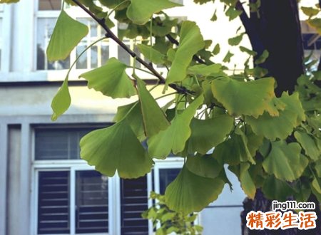 不带符号的微信长网名，社会网名霸气十足