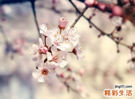 经典感性的超长网名，比较感性的男性网名